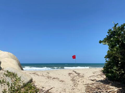 Flag på stranden – Hvad betyder de forskellige farver?