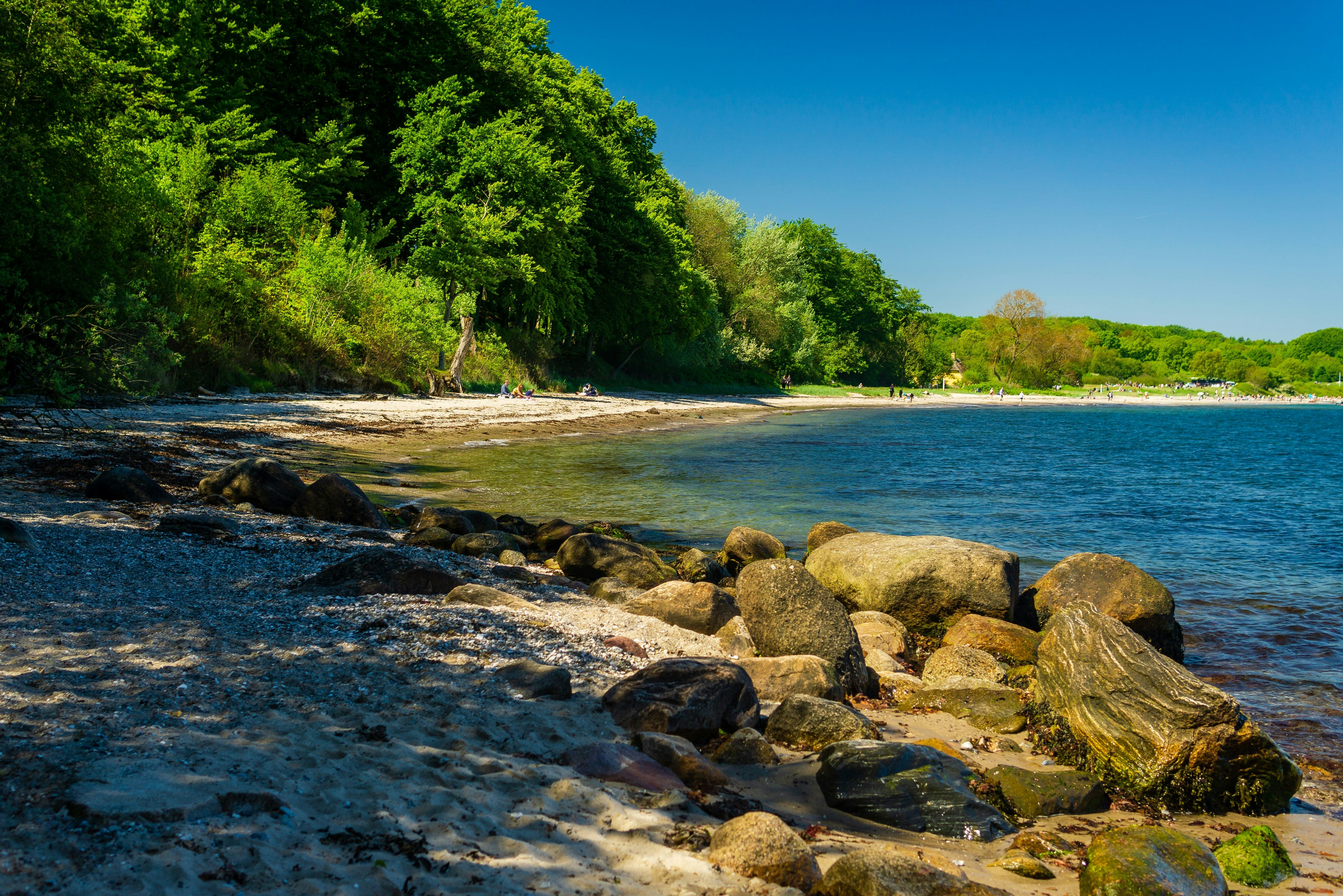 Må man tisse i havet - Er det ulovligt, uhygiejnisk eller helt okay?